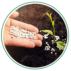 Fertilizers