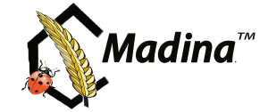 logo madina
